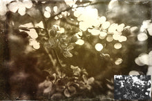Load image into Gallery viewer, 10 Fine Art TEXTURES - VINTAGE Set 11
