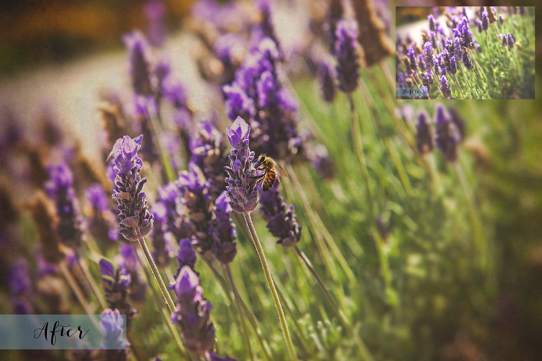 40 High resolution Textures for Photographers, Photoshop, Digital art and Creatives. Digital photography edits, Photoshop. Scratch, Fine Art Antique, Vintage, Grunge, Light, Dark Bundle. Textured printable Canvas, Colour, Monochrome, Bundle. Graphic Assets for photography, digital scrapbooking and design. ATP Textures