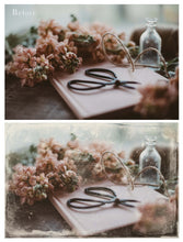 Load image into Gallery viewer, DAGUERREOTYPE Set 2 Photoshop Brushes
