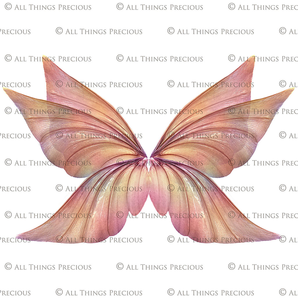 Fairy Wings Overlays For Photography, Photoshop, Digital art and Creatives. Transparent, high resolution wings for photographers. These are gorgeous PNG overlays for fantasy digital art and Child portraiture. colour, White fairy wings. Photo Overlays. Digital download. Graphic effects. ATP Textures