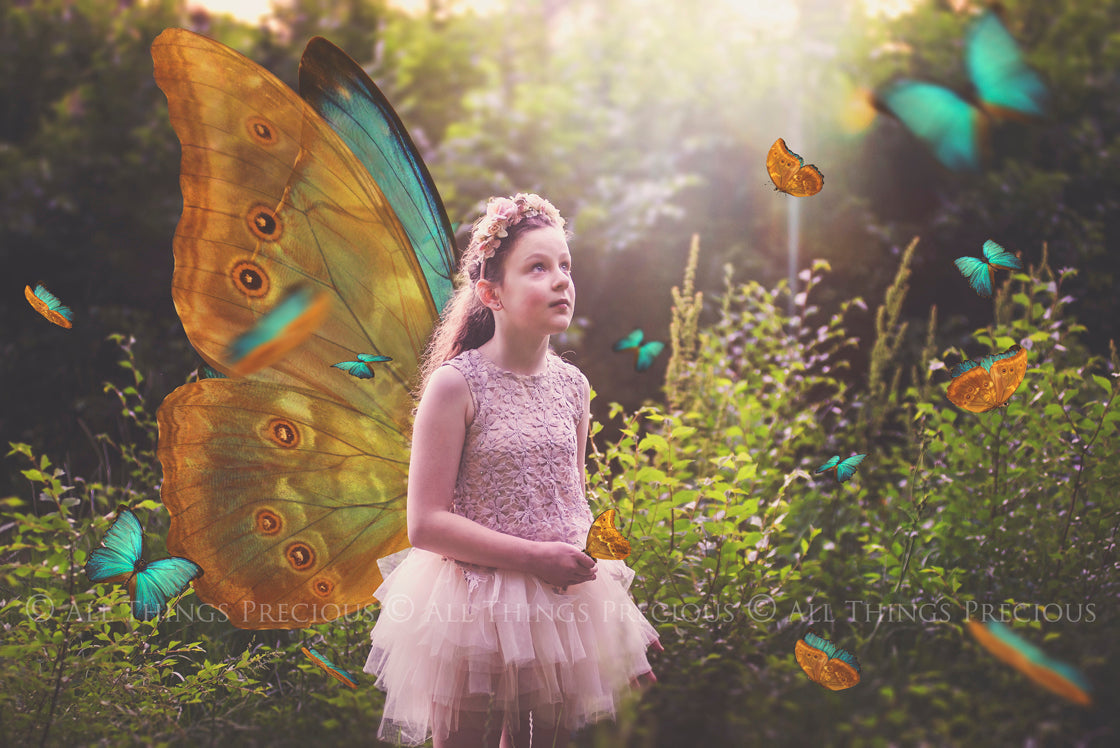 Fairy Wing & Butterfly Overlays For Photographers, Photoshop, Digital art and Creatives. Butterfly fairy wings, Png overlays for photoshop. Photography editing. High resolution, 300dpi. Overlay for photography. Digital stock and resources. Graphic design. Wings for Photos. Colourful Faerie Wings. Butterflies. Overlays for Edits.