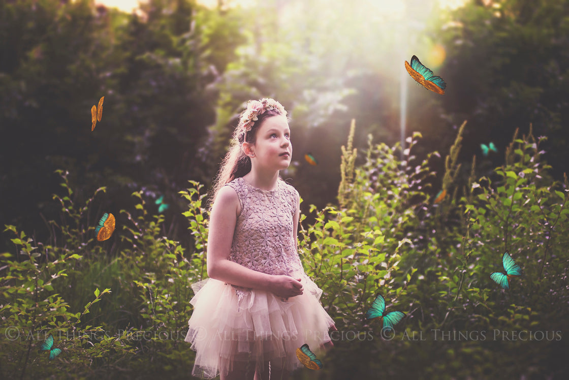 Fairy Wing & Butterfly Overlays For Photographers, Photoshop, Digital art and Creatives. Butterfly fairy wings, Png overlays for photoshop. Photography editing. High resolution, 300dpi. Overlay for photography. Digital stock and resources. Graphic design. Wings for Photos. Colourful Faerie Wings. Butterflies. Overlays for Edits.