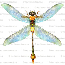 Load image into Gallery viewer, DRAGONFLY OVERLAYS - Red &amp; Yellow - Digital Overlays
