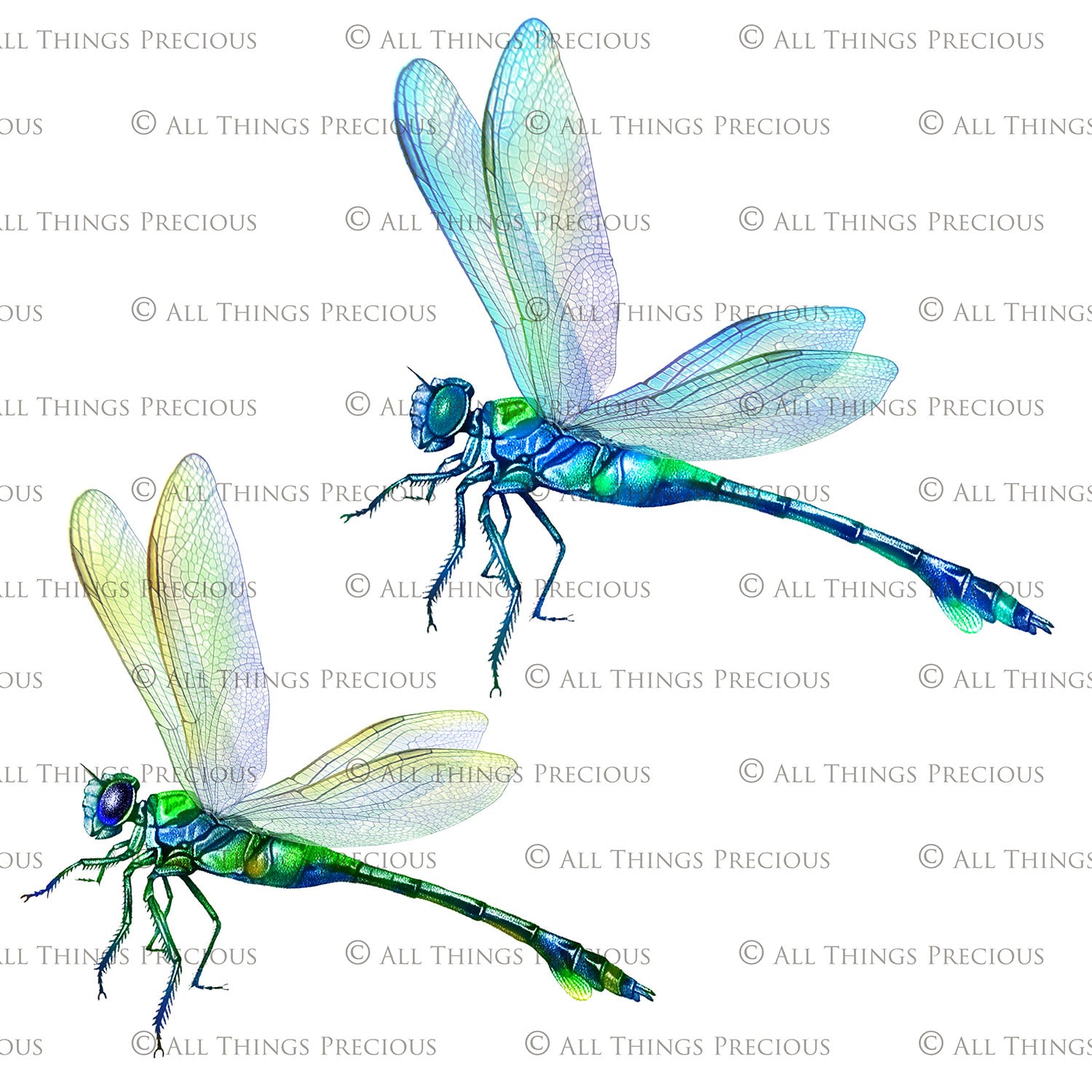 Png clipart for Photographers, Digital scrapbooking, Photo Overlays, Digital Overlay, Png Overlays, High resolution, Dragonfly overlays, Dragonflies clipart by ATP Textures Photoshop.
