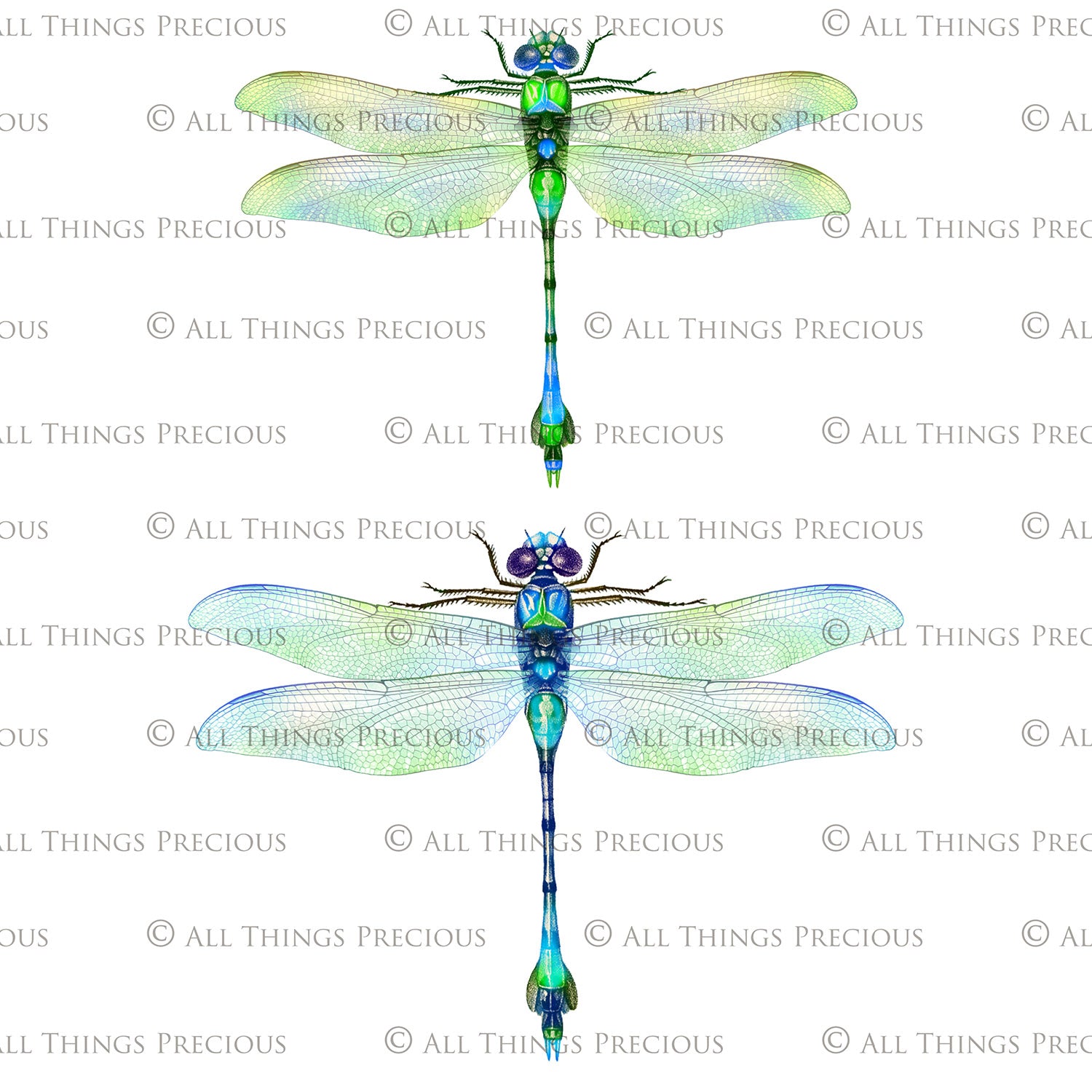 Png clipart for Photographers, Digital scrapbooking, Photo Overlays, Digital Overlay, Png Overlays, High resolution, Dragonfly overlays, Dragonflies clipart by ATP Textures Photoshop.