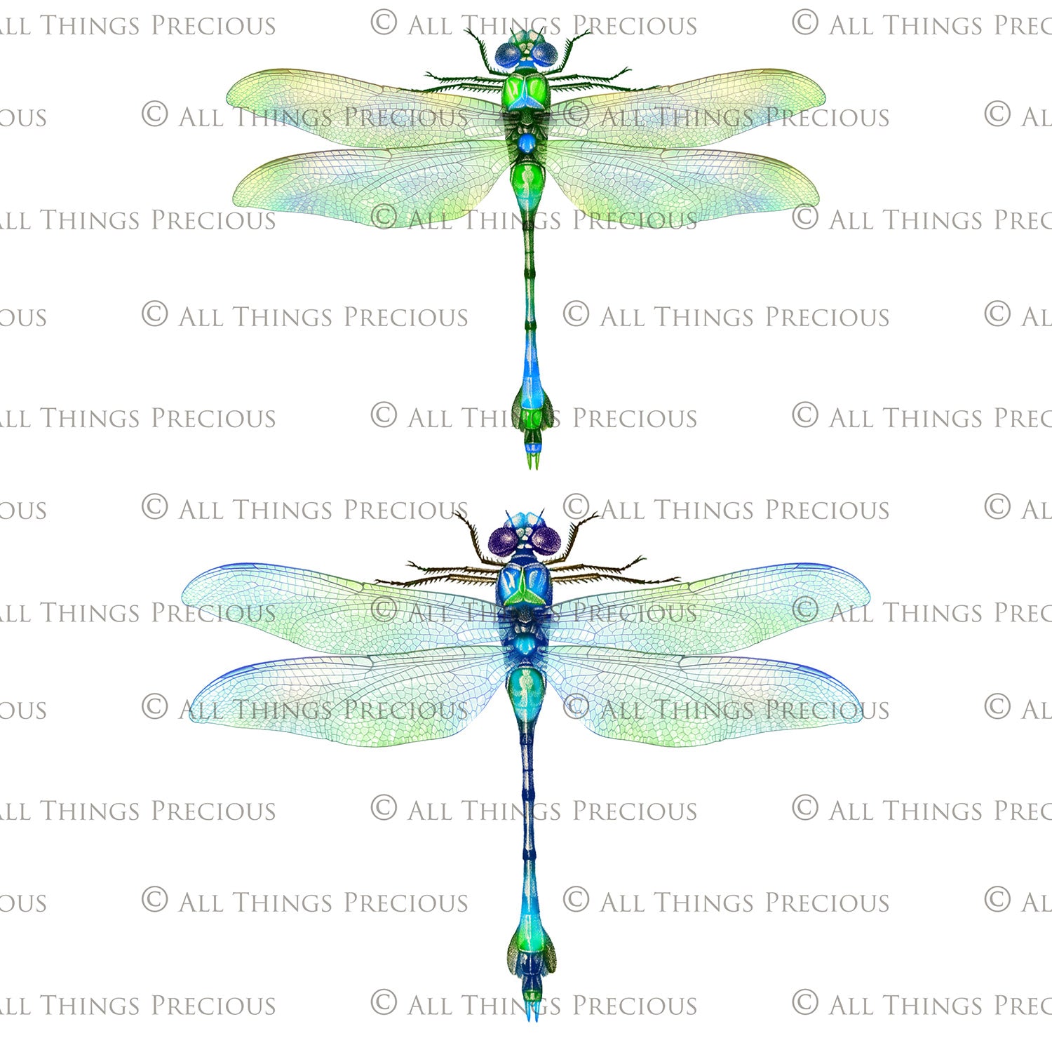 Png clipart for Photographers, Digital scrapbooking, Photo Overlays, Digital Overlay, Png Overlays, High resolution, Dragonfly overlays, Dragonflies clipart by ATP Textures Photoshop.