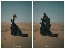 Load image into Gallery viewer, 30 Png DRAGON FAIRY WING Overlays
