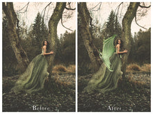 Load image into Gallery viewer, 30 Png DRAGON FAIRY WING Overlays
