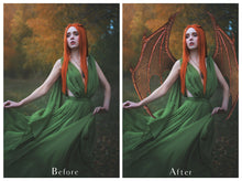 Load image into Gallery viewer, 30 Png DRAGON FAIRY WING Overlays
