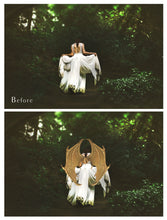 Load image into Gallery viewer, 30 Png DRAGON FAIRY WING Overlays
