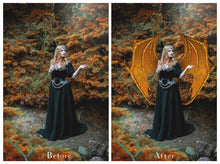 Load image into Gallery viewer, 30 Png DRAGON FAIRY WING Overlays
