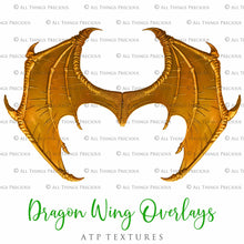 Load image into Gallery viewer, 30 Png DRAGON FAIRY WING Overlays
