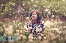 Load image into Gallery viewer, DANDELION WISHES Digital Overlays
