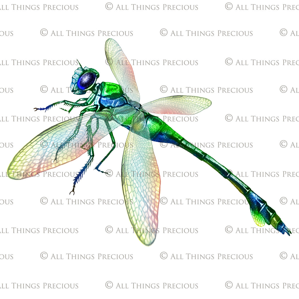 Png clipart for Photographers, Digital scrapbooking, Photo Overlays, Digital Overlay, Png Overlays, High resolution, Dragonfly overlays, Dragonflies clipart by ATP Textures Photoshop.