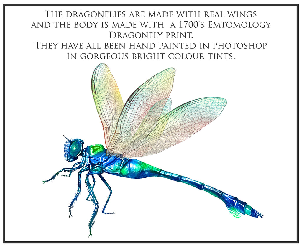 Png clipart for Photographers, Digital scrapbooking, Photo Overlays, Digital Overlay, Png Overlays, High resolution, Dragonfly overlays, Dragonflies clipart by ATP Textures Photoshop.