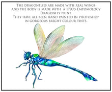 Load image into Gallery viewer, Png clipart for Photographers, Digital scrapbooking, Photo Overlays, Digital Overlay, Png Overlays, High resolution, Dragonfly overlays, Dragonflies clipart by ATP Textures Photoshop.
