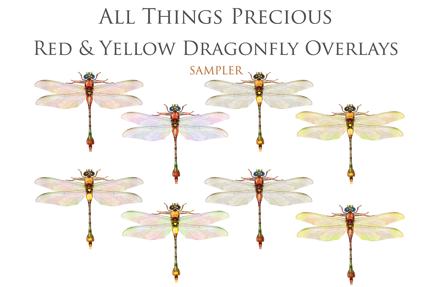 Png DRAGONFLY - Red & Yellow - Digital Overlays