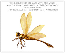 Load image into Gallery viewer, Png, High resolution, overlays for digital photography, scrapbooking and art. Dragonfly overlays, Dragonflies clipart by ATP textures.
