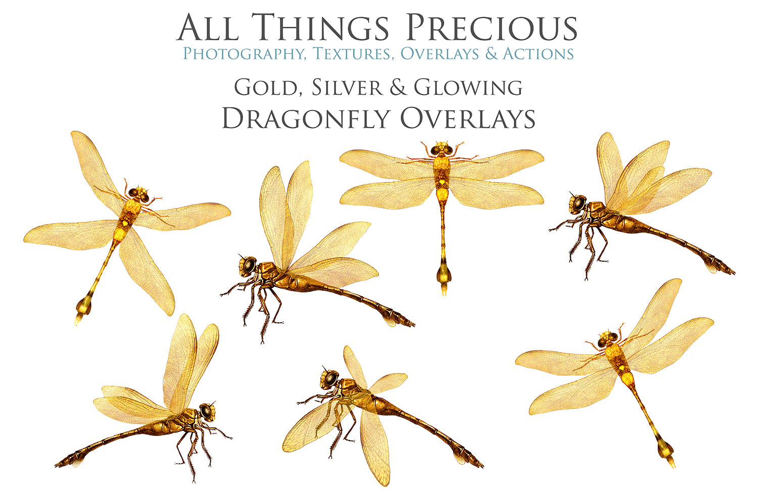 Png, High resolution, overlays for digital photography, scrapbooking and art. Dragonfly overlays, Dragonflies clipart by ATP textures.