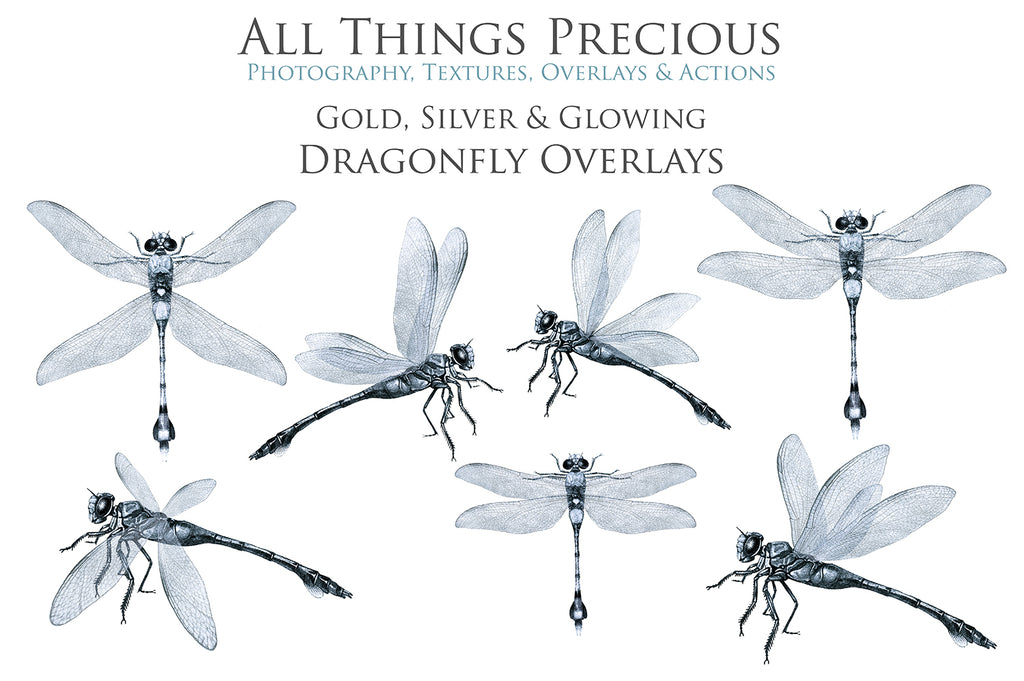 Png, High resolution, overlays for digital photography, scrapbooking and art. Dragonfly overlays, Dragonflies clipart by ATP textures.