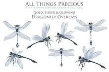 Load image into Gallery viewer, Png, High resolution, overlays for digital photography, scrapbooking and art. Dragonfly overlays, Dragonflies clipart by ATP textures.
