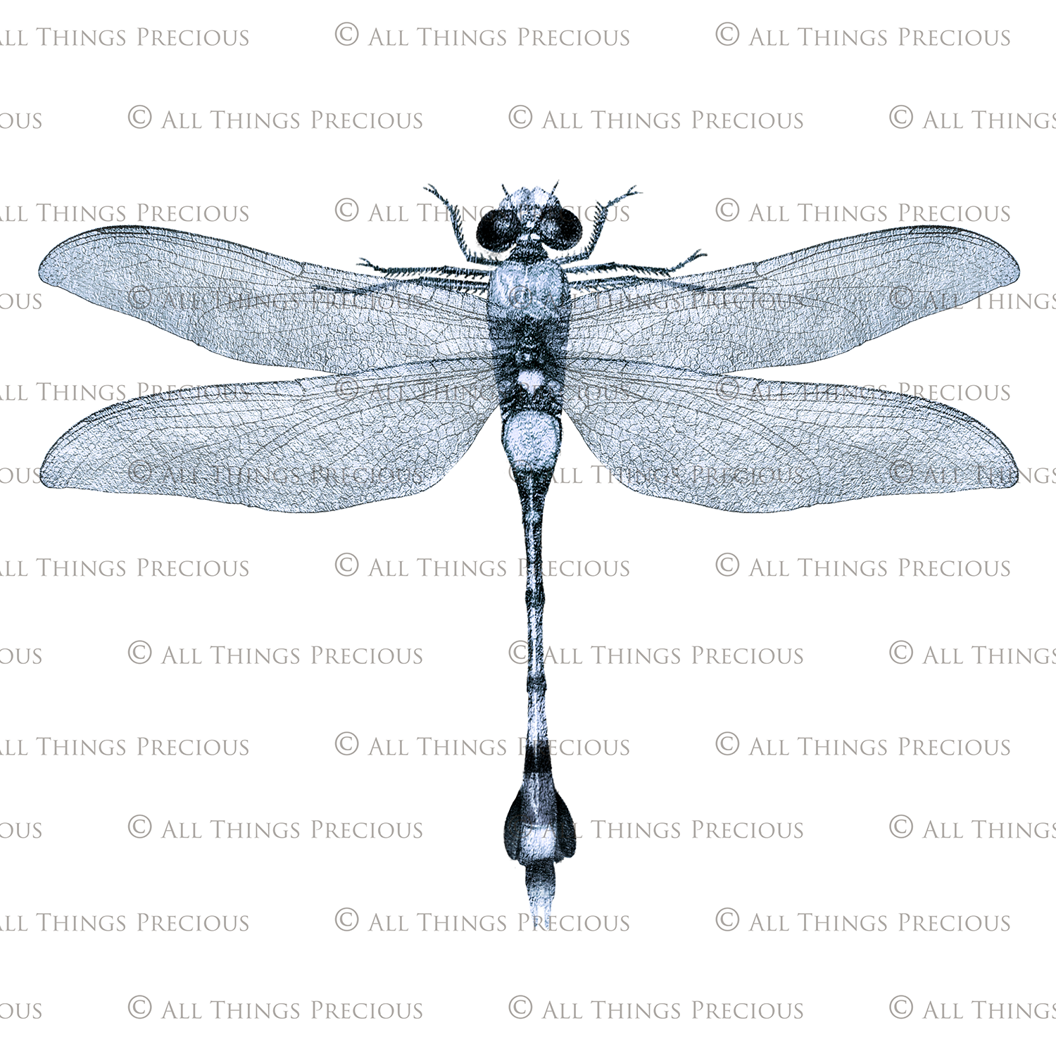 Png, High resolution, overlays for digital photography, scrapbooking and art. Dragonfly overlays, Dragonflies clipart by ATP textures.