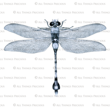 Load image into Gallery viewer, Png, High resolution, overlays for digital photography, scrapbooking and art. Dragonfly overlays, Dragonflies clipart by ATP textures.
