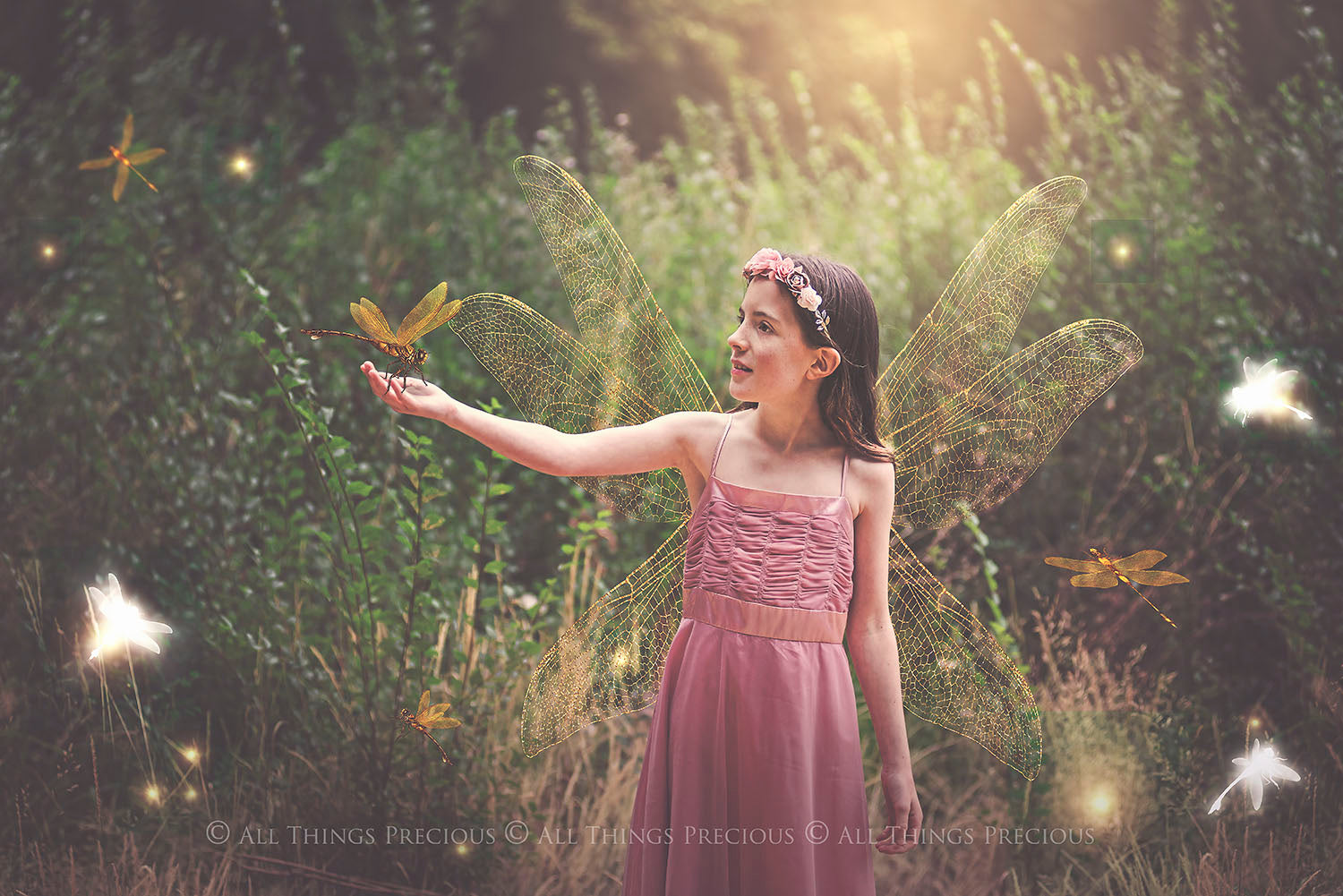 Png, High resolution, overlays for digital photography, scrapbooking and art. Dragonfly overlays, Dragonflies clipart by ATP textures.