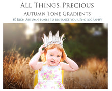 Load image into Gallery viewer, AUTUMN GRADIENTS for Photoshop - FREE DOWNLOAD
