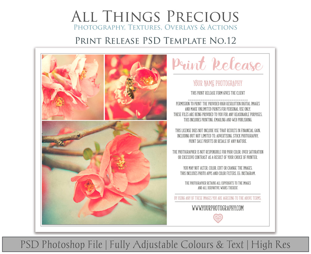 PRINT RELEASE - PSD Template No. 12