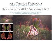 Load image into Gallery viewer, 103 FAIRY WINGS and DIGITAL OVERLAYS - BUNDLE - Set 3
