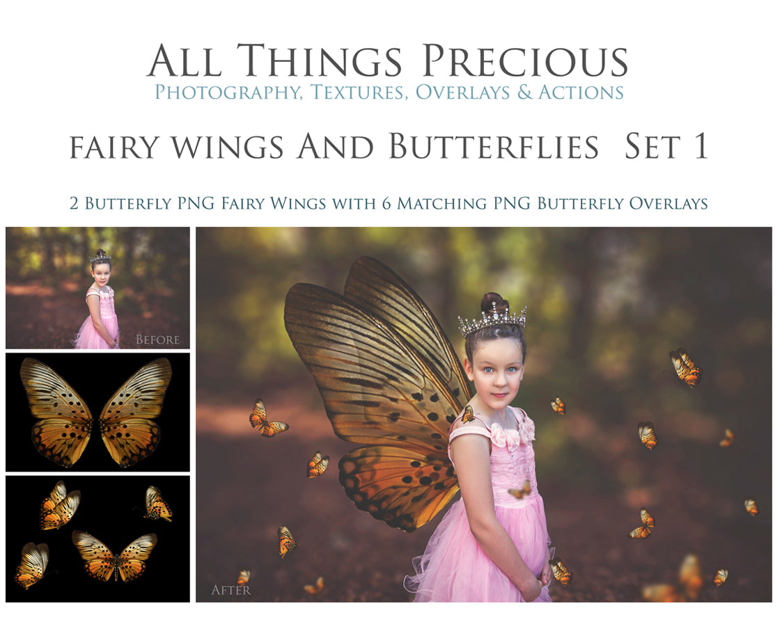 Butterfly fairy wings, Png overlays for photoshop. Photography editing. High resolution, 300dpi. Overlay for photography. Digital stock and resources. Graphic design. Wings for Photos. Colourful Faerie Wings.