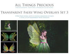 Load image into Gallery viewer, BUNDLE - 86 FAIRY WING OVERLAYS - Set 1

