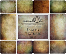 Load image into Gallery viewer, 10 Fine Art TEXTURES - EARTHY Set 17
