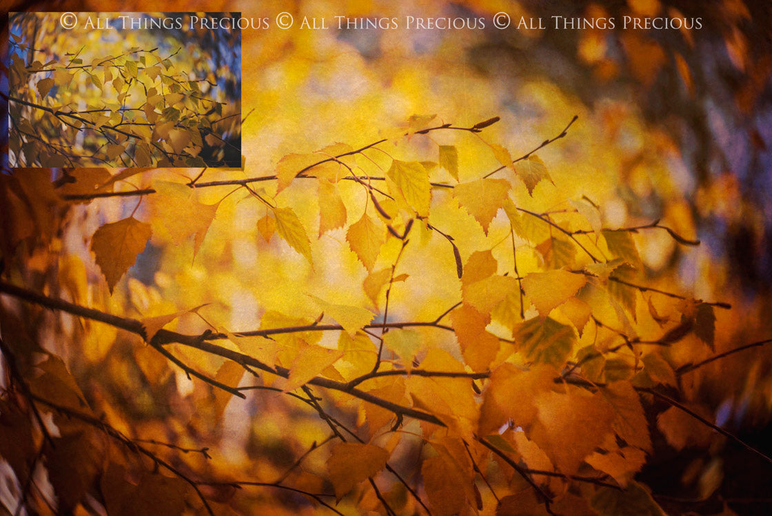 Earth fine art textures. Rich, warm colour tints. Texture for photographers and digital editing. Photo Overlays. Antique, Vintage, Grunge, Light, Dark Bundle. Textured printable Canvas, Colour, Monochrome, Bundle. High resolution, 300dpi Graphic Assets for photography, digital scrapbooking and design. By ATP Textures