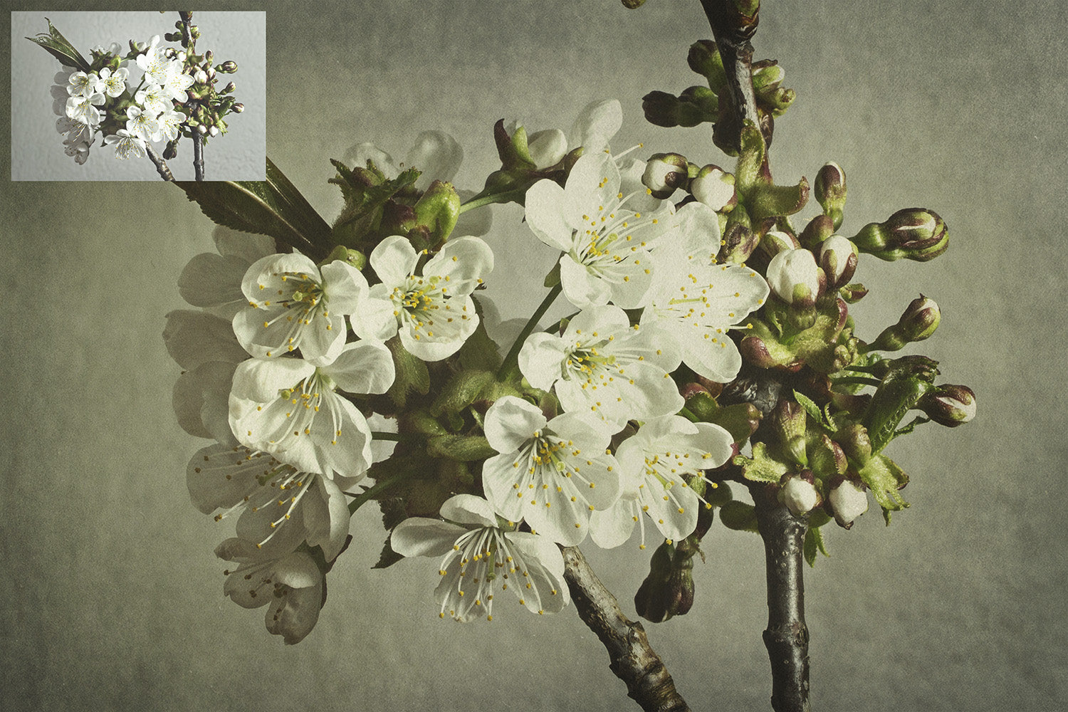 40 High resolution Textures. Png Digital Photo Overlays For Photographers, Photoshop, Digital art and Creatives. Digital photography edits, Photoshop. Photo graphic assets. Grunge, Light, Dark, Old Photo Aged, Scratch, Design Elements. ATP textures. 