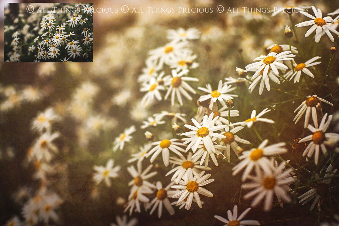 Earth fine art textures. Rich, warm colour tints. Texture for photographers and digital editing. Photo Overlays. Antique, Vintage, Grunge, Light, Dark Bundle. Textured printable Canvas, Colour, Monochrome, Bundle. High resolution, 300dpi Graphic Assets for photography, digital scrapbooking and design. By ATP Textures