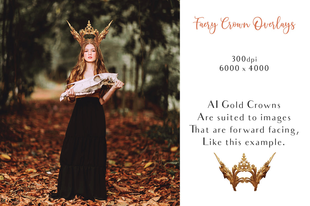 High Resolution Overlays for Photographers, Digital Art and Scrapbooking.Gorgeous clipart Faery Crowns! Created in AI and altered in photoshop. In high resolution, perfect for your next edit or project! Png graphic photography assets. Sublimation art. ATP Textures