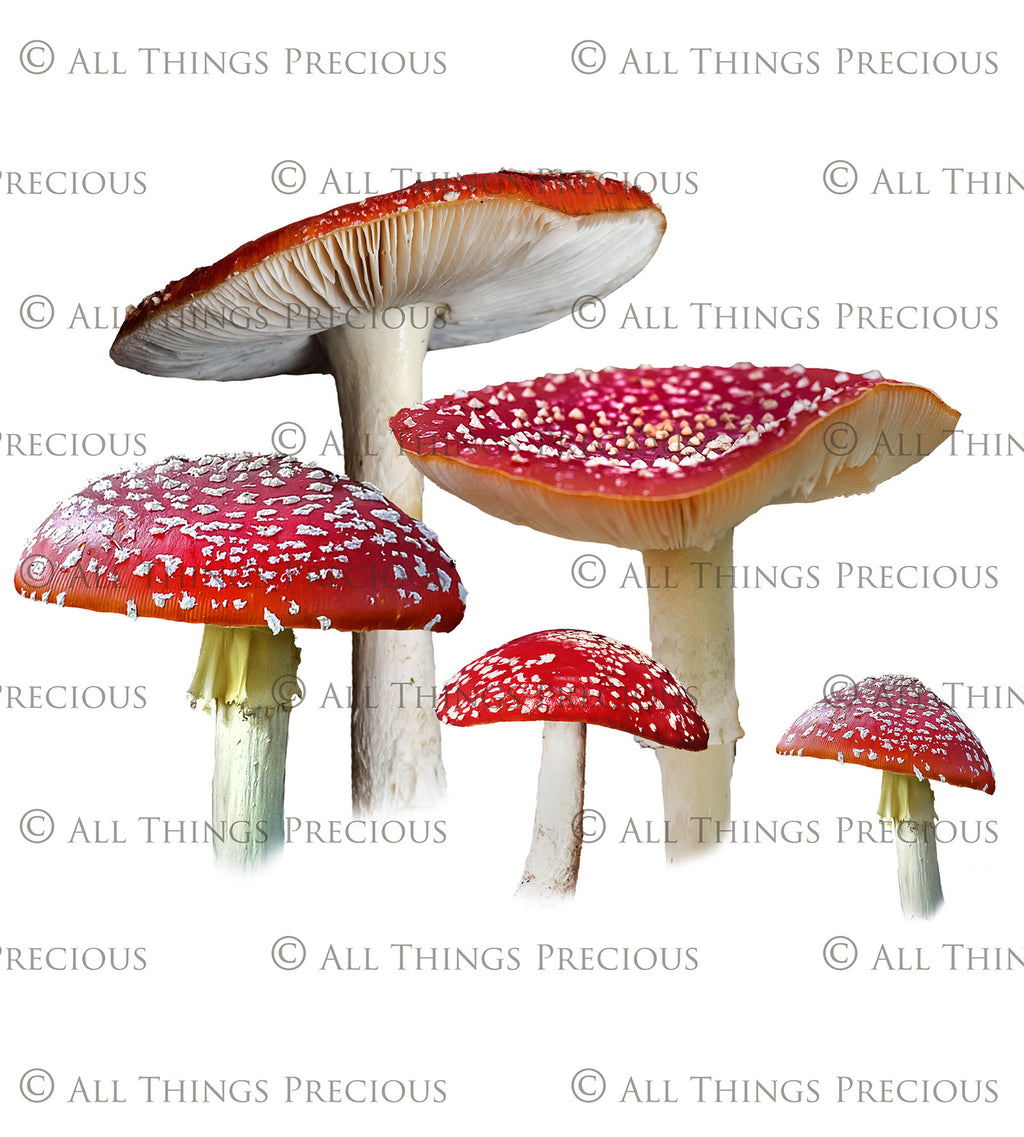 ATP Textures