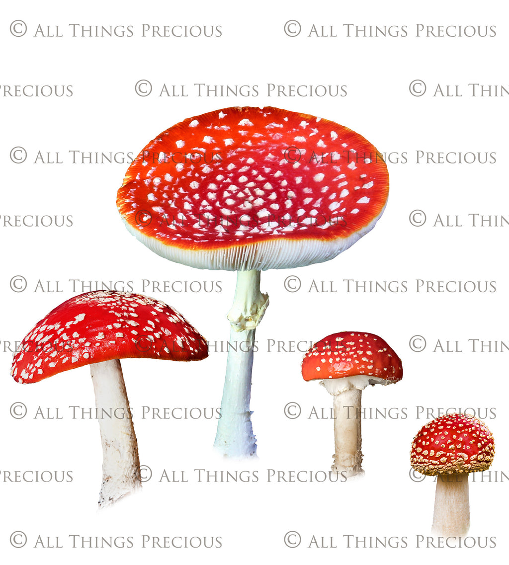ATP Textures