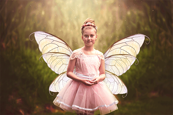 PNG Animated FAERY WINGS - Set 2