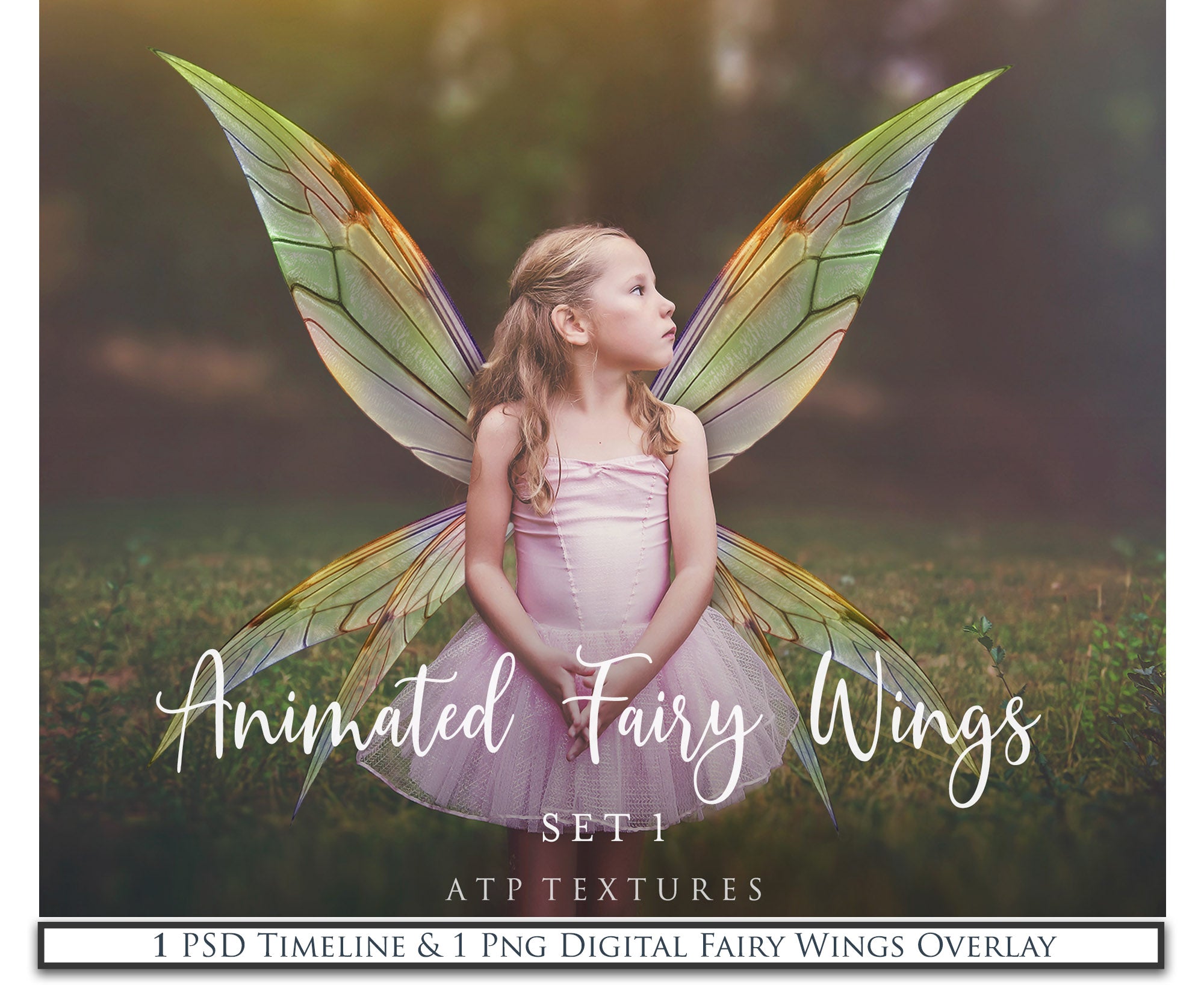 PNG Animated FAERY WINGS - Set 1