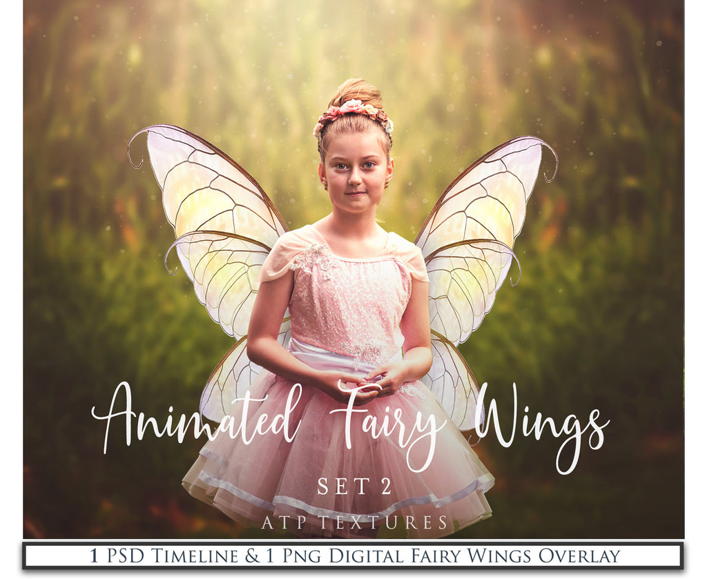 PNG Animated FAERY WINGS - Set 2