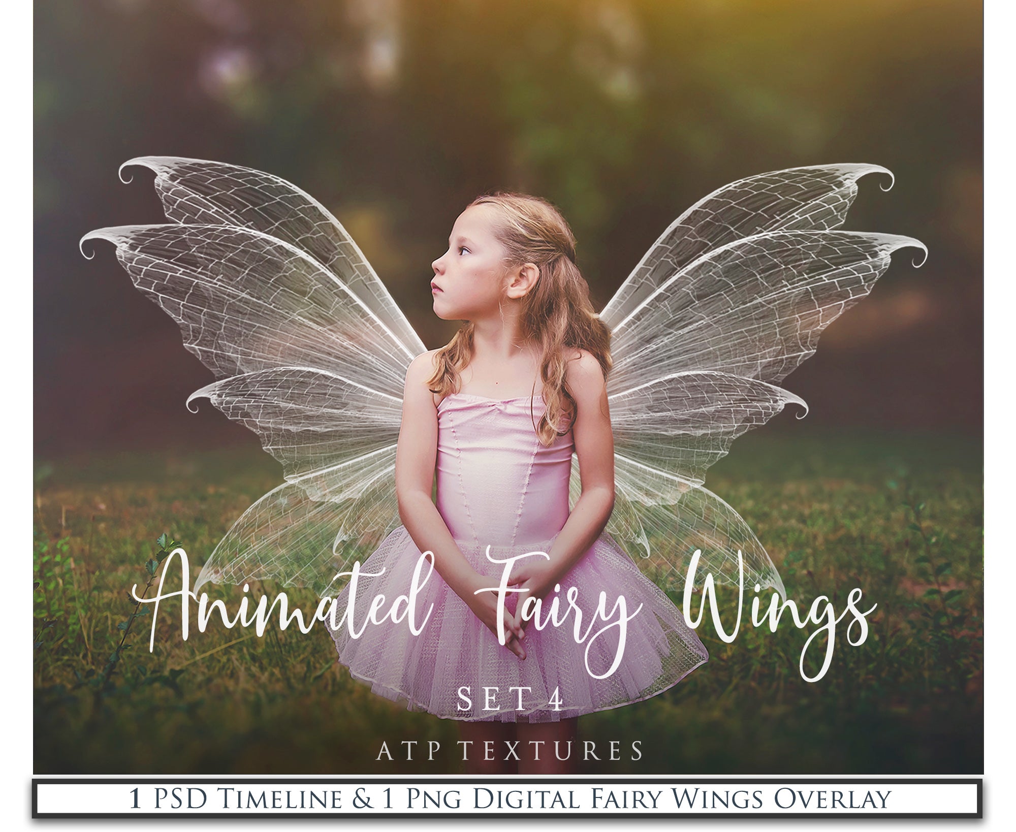 PNG Animated FAERY WINGS - Set 4