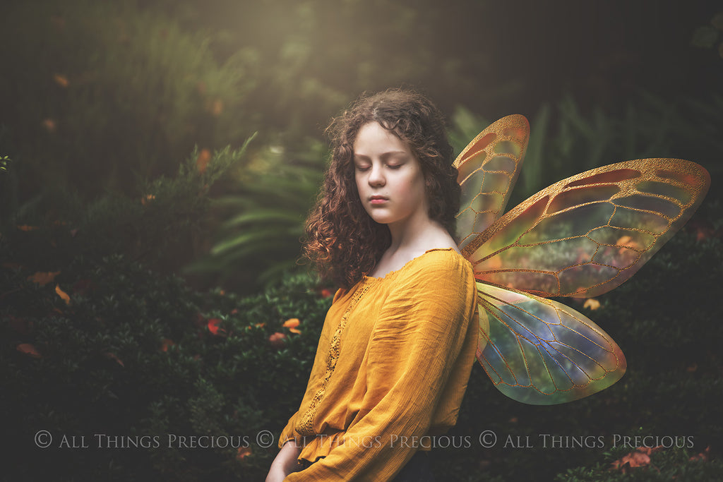 Digital Faery Wing Overlays! Fairy wings, Png overlays for photoshop. Photography editing. High resolution, 300dpi fairy wings. Overlays for photography. Digital stock and resources. Graphic design. Fairy Photos. Colourful Fairy wings. Faerie Wings.