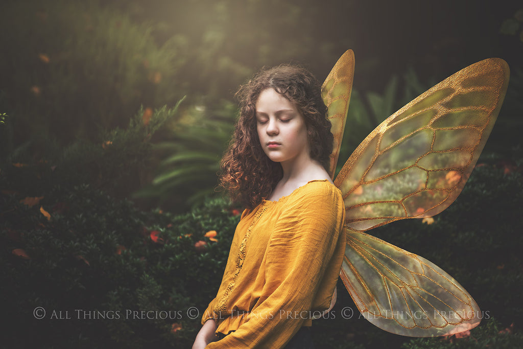 Digital Overlays for Photographers, Graphic design, scrapbooking and creatives.. Fairy Wings. High resolution, fine art digital assets for creating fantasy art.  Png overlay with transparent background. Magical Edit. Png Photo editing art assets.