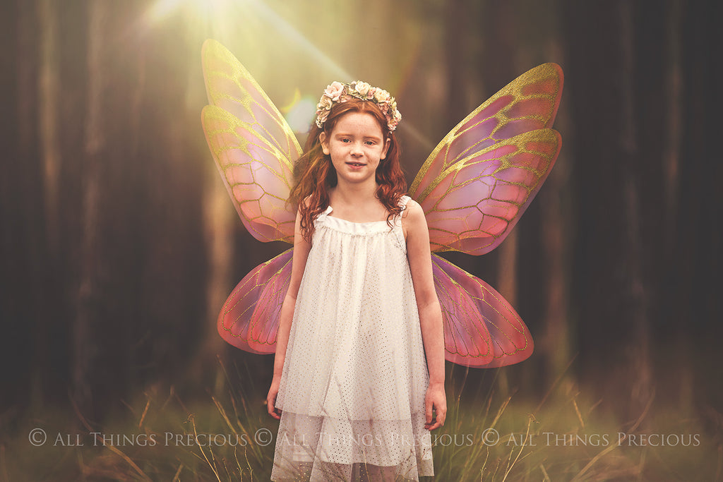 Digital Overlays for Photographers, Graphic design, scrapbooking and creatives.. Fairy Wings. High resolution, fine art digital assets for creating fantasy art.  Png overlay with transparent background. Magical Edit. Png Photo editing art assets.