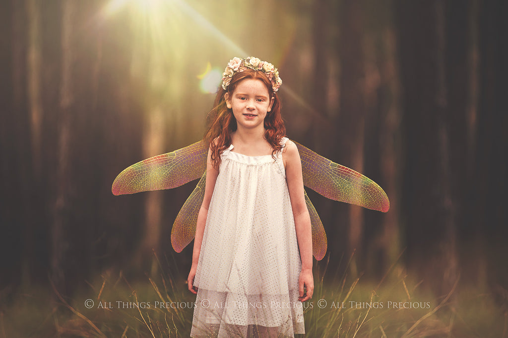 Digital Overlays for Photographers, Graphic design, scrapbooking and creatives.. Fairy Wings. High resolution, fine art digital assets for creating fantasy art.  Png overlay with transparent background. Magical Edit. Png Photo editing art assets.