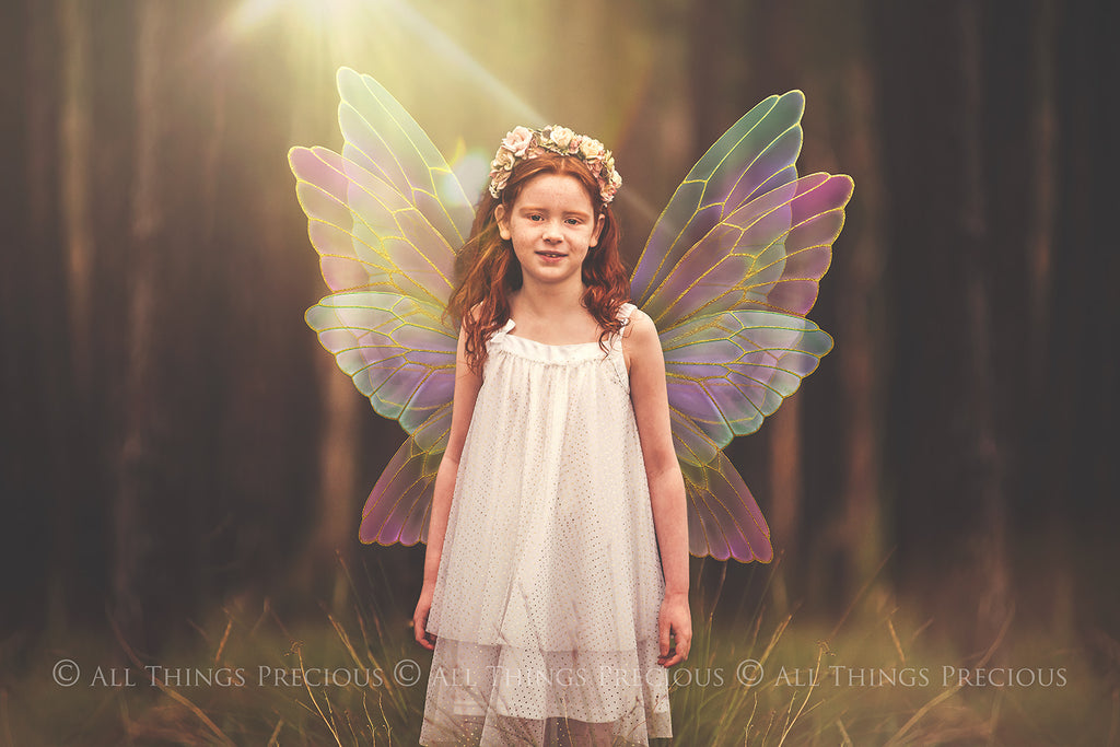 Digital Overlays for Photographers, Graphic design, scrapbooking and creatives.. Fairy Wings. High resolution, fine art digital assets for creating fantasy art.  Png overlay with transparent background. Magical Edit. Png Photo editing art assets.