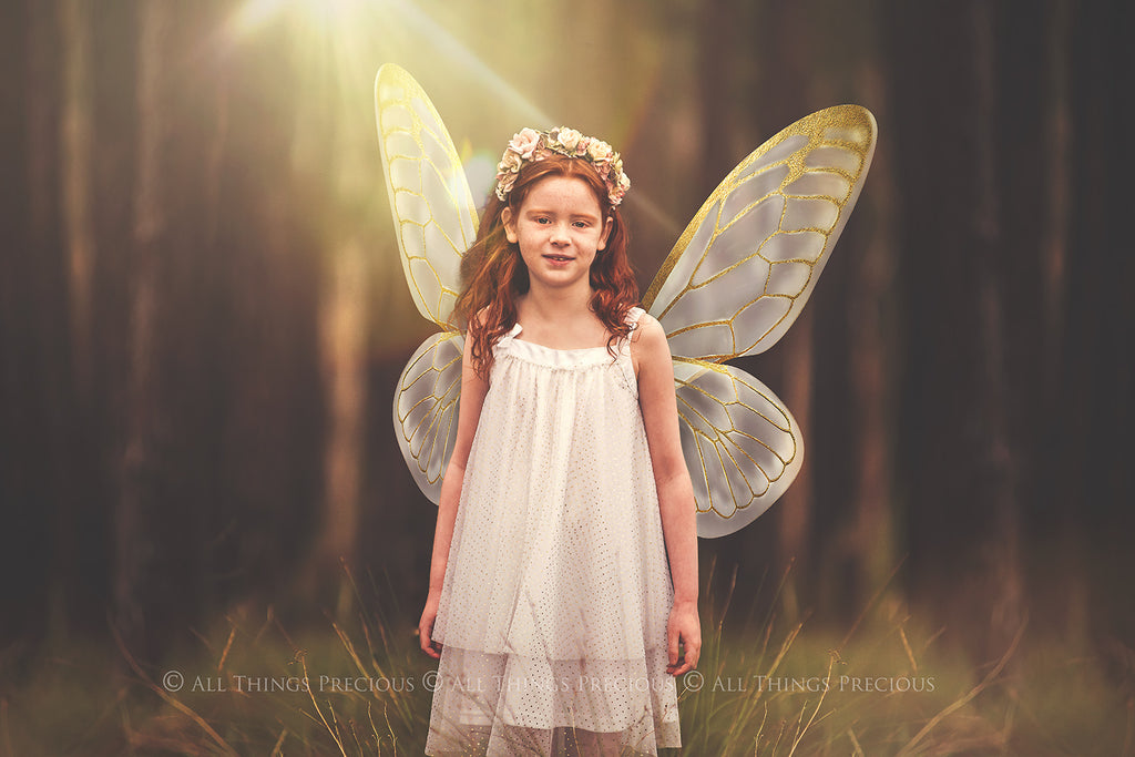 Digital Overlays for Photographers, Graphic design, scrapbooking and creatives.. Fairy Wings. High resolution, fine art digital assets for creating fantasy art.  Png overlay with transparent background. Magical Edit. Png Photo editing art assets.